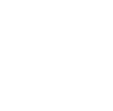 github link